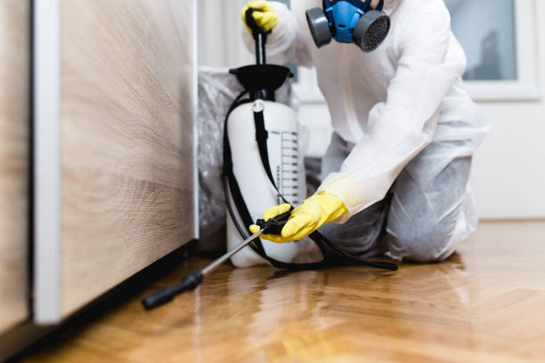 Best Termite Control Services  in Gardende, AL