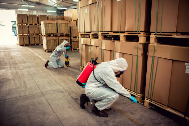 Best Cockroach Control Services  in Gardende, AL