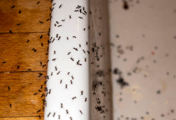 Best Pest Control for Restaurants  in Gardende, AL