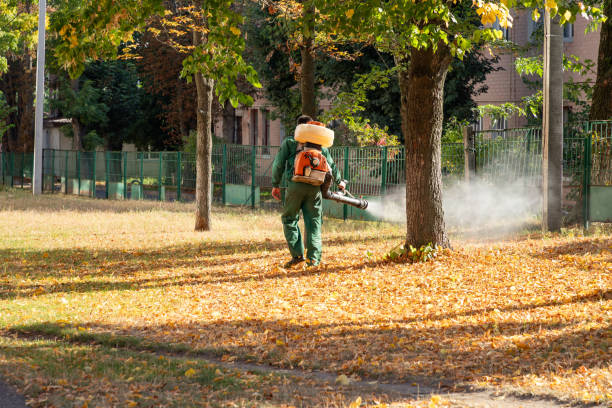 Best Pest Control Near Me  in Gardende, AL
