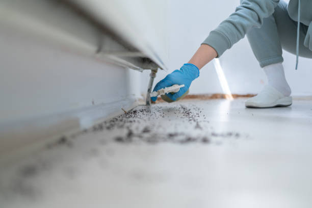 Pest Control for Restaurants in Gardendale, AL